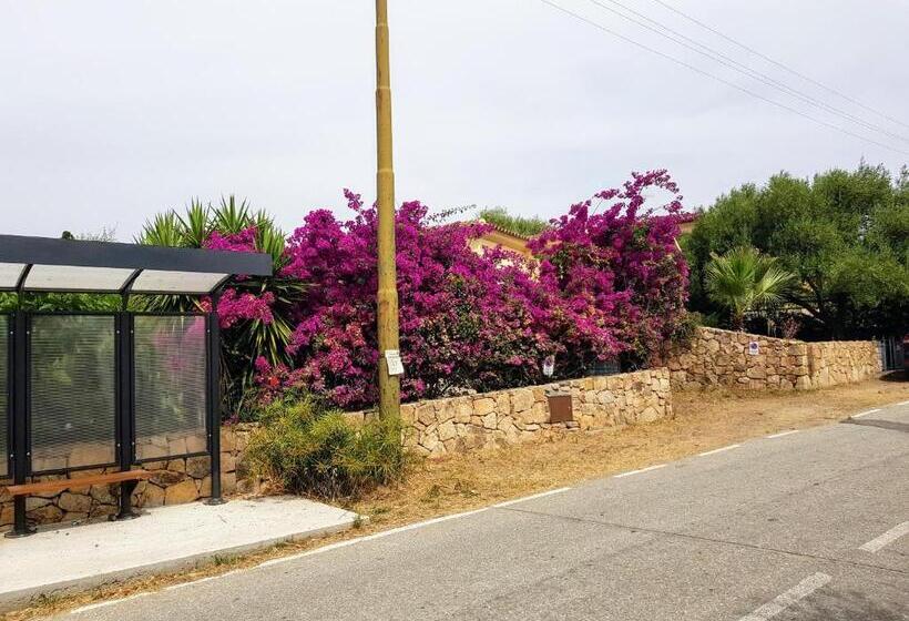 پانسیون Villa Dettori