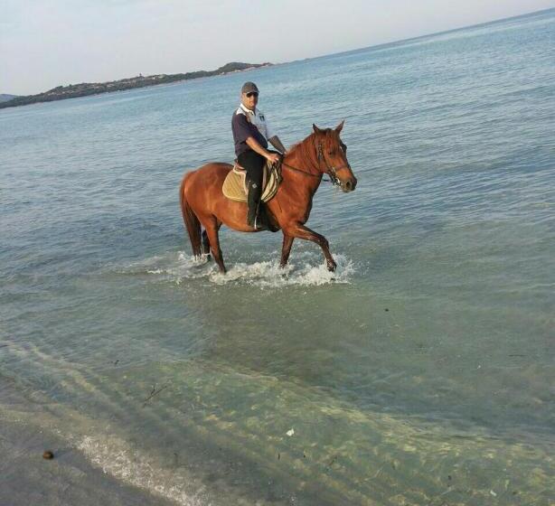 پانسیون Villa Dettori