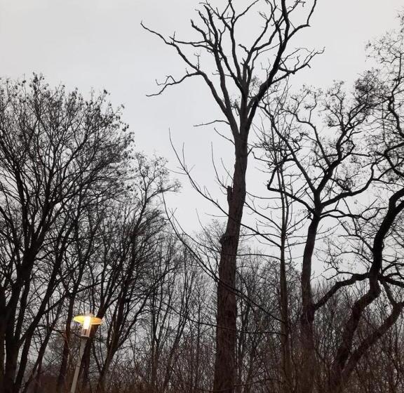 Pension Zur Steilküste