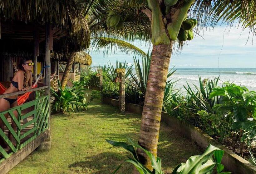 Общежитие Cuna Luna Hosteria