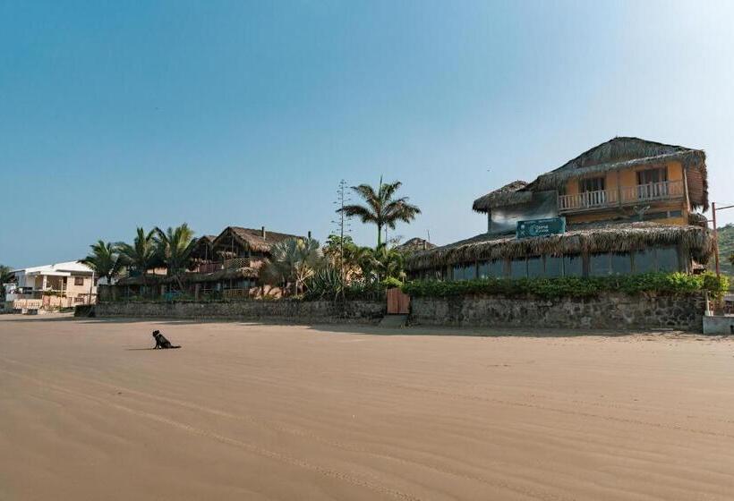 Общежитие Cuna Luna Hosteria