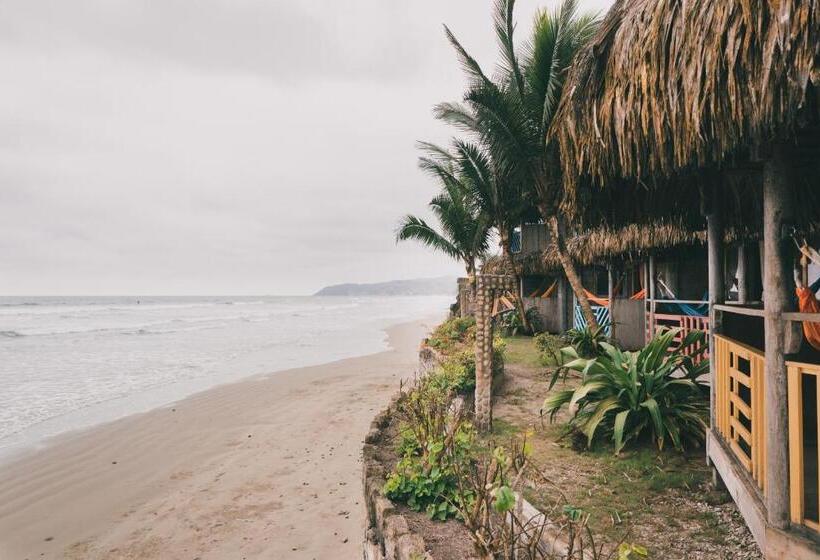 Общежитие Cuna Luna Hosteria