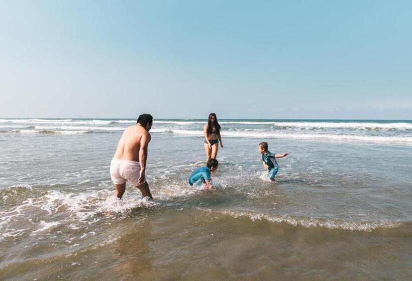 Общежитие Cuna Luna Hosteria