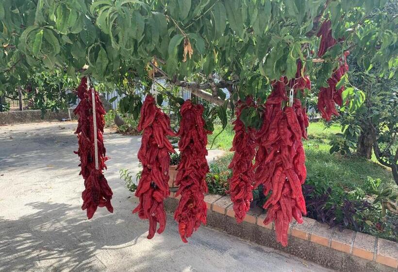 B&b Caput Mundi Calabria