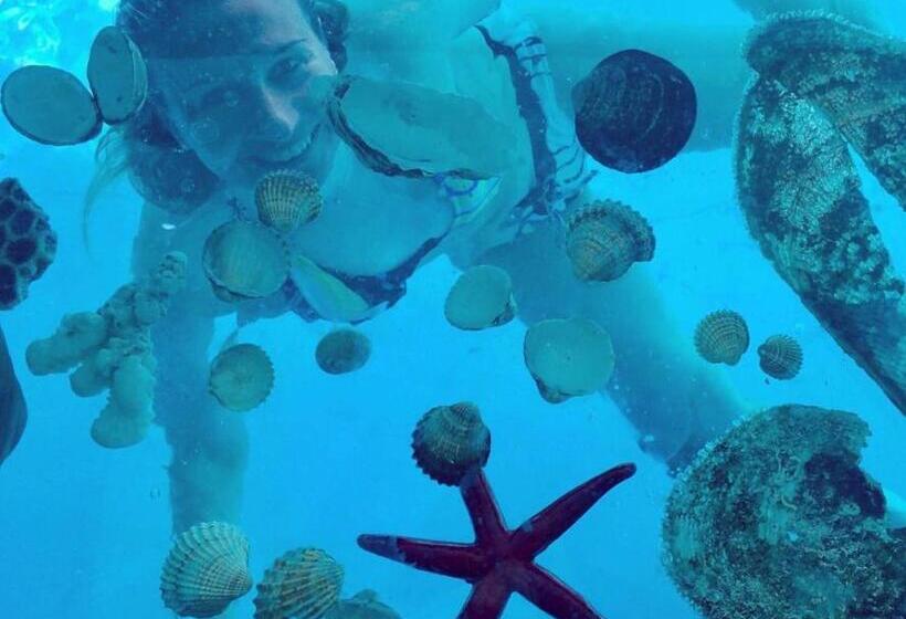 B&b Dolce Vista Al Lago Lugano