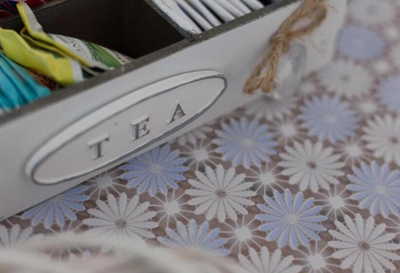 مبيت وإفطار Albatros