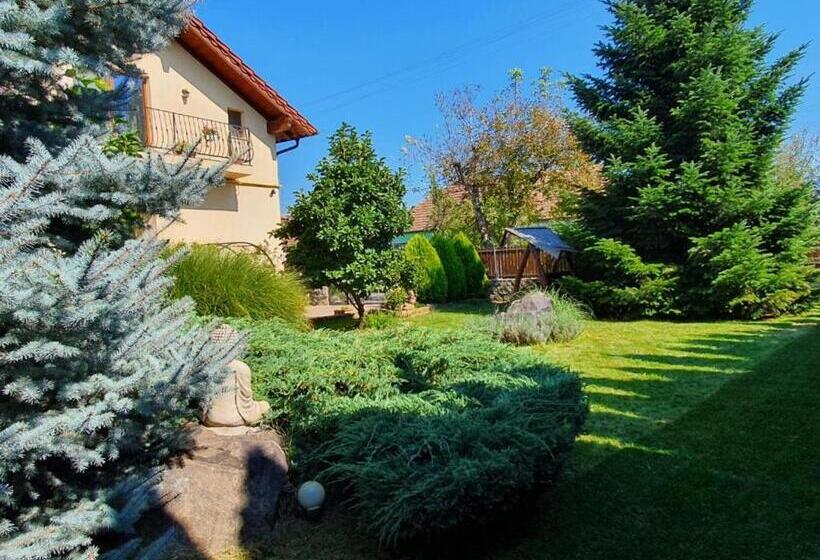 مبيت وإفطار Casa Irinella