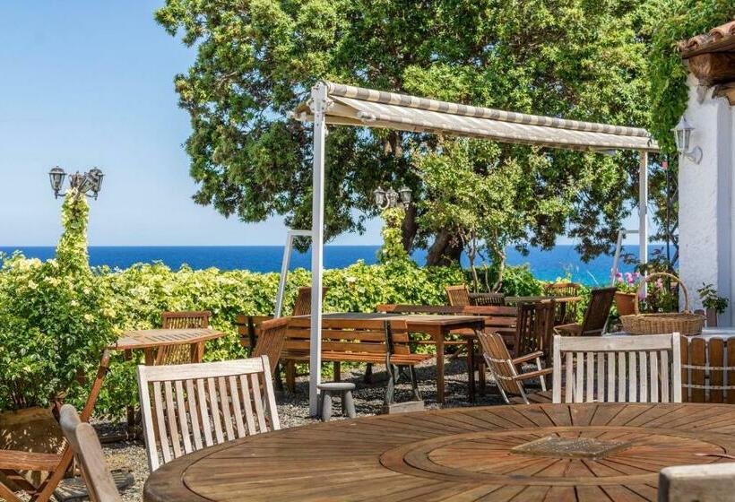 ベッドアンドブレックファースト La Tour