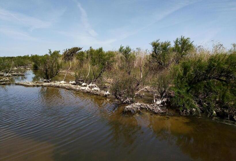 住宿加早餐 Les Bois Flottés En Ré