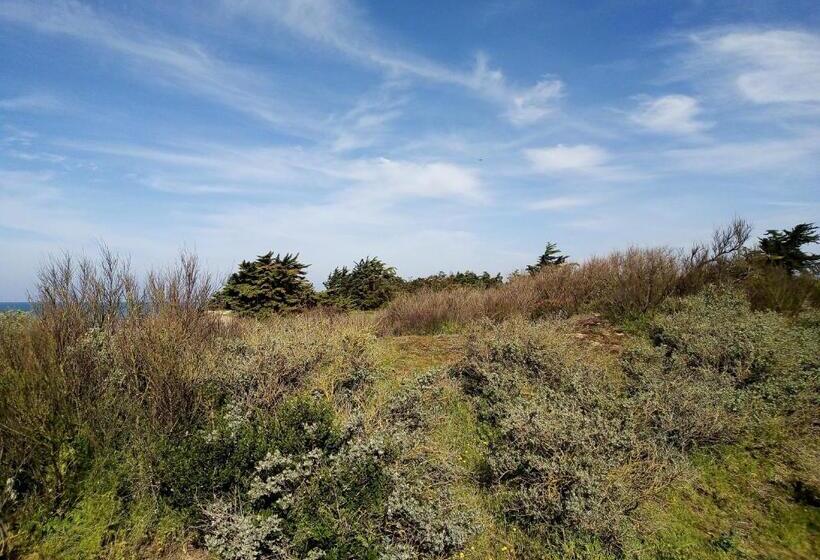 住宿加早餐 Les Bois Flottés En Ré