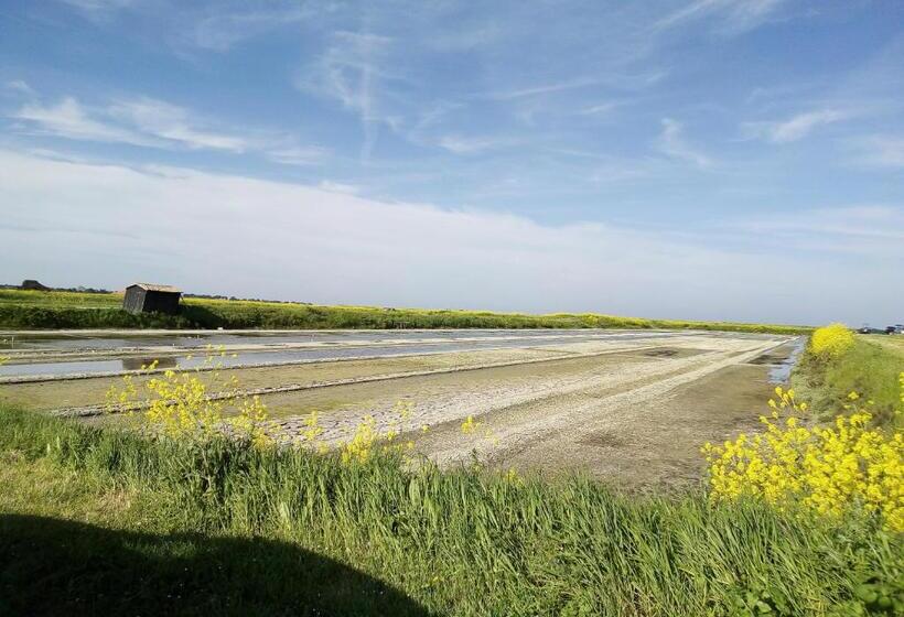 住宿加早餐 Les Bois Flottés En Ré