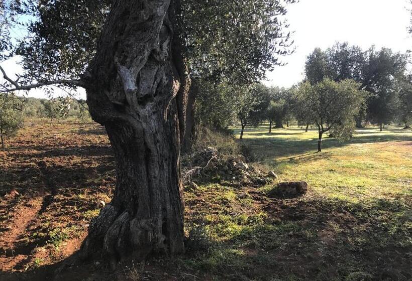 Bed and Breakfast Li Caseddi Ti Lu Cesarinu