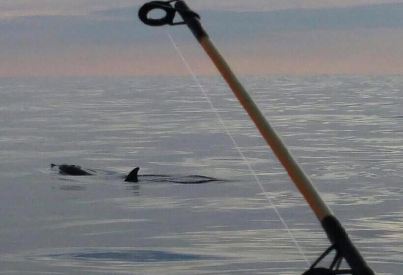 تختخواب و صبحانه Tempio Degli Dei