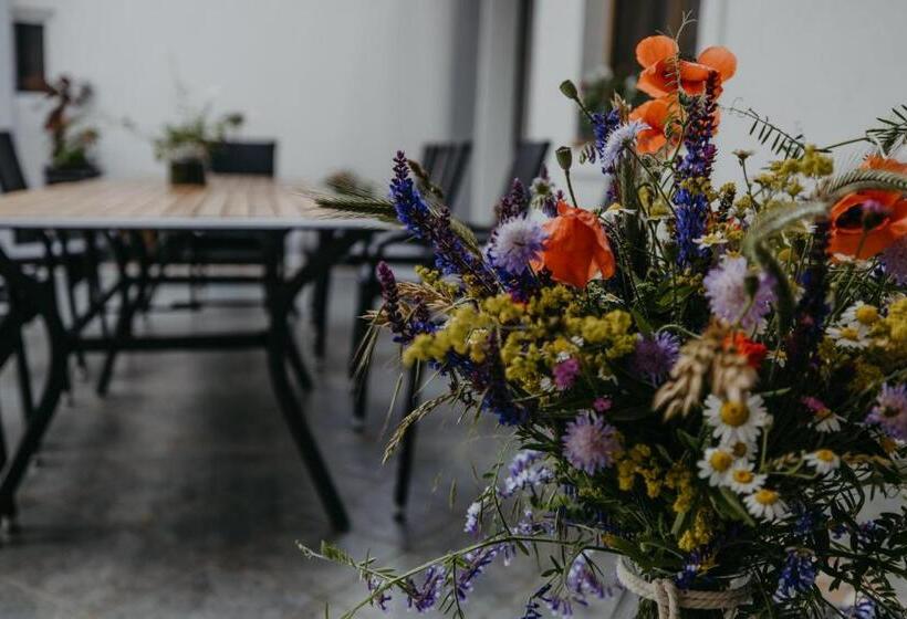 Bed and Breakfast Weingut Und Gästehaus Salzl