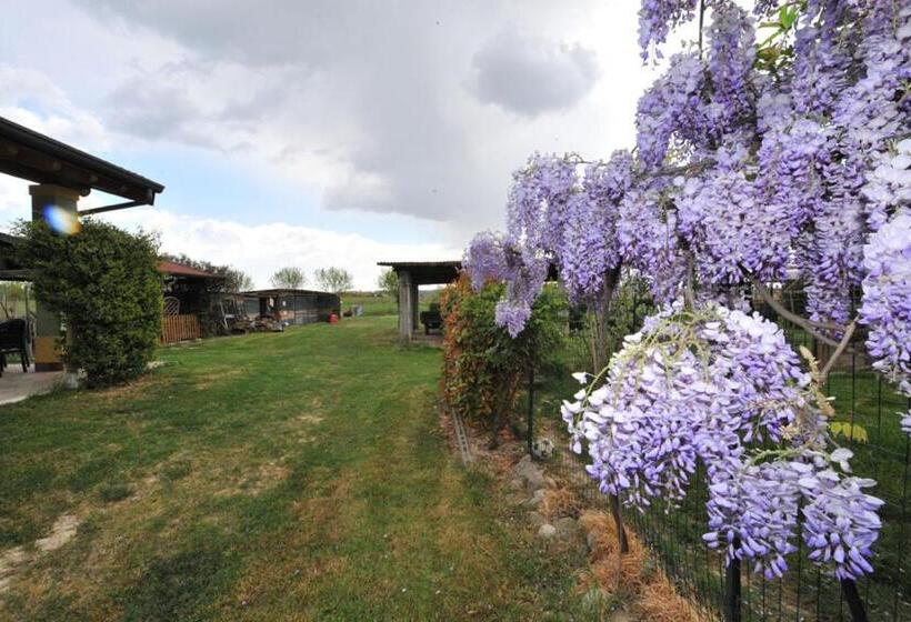 호텔 Agriturismo Lizzarola