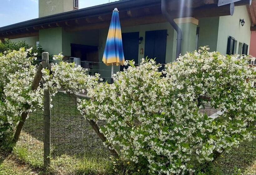 호텔 Agriturismo Lizzarola