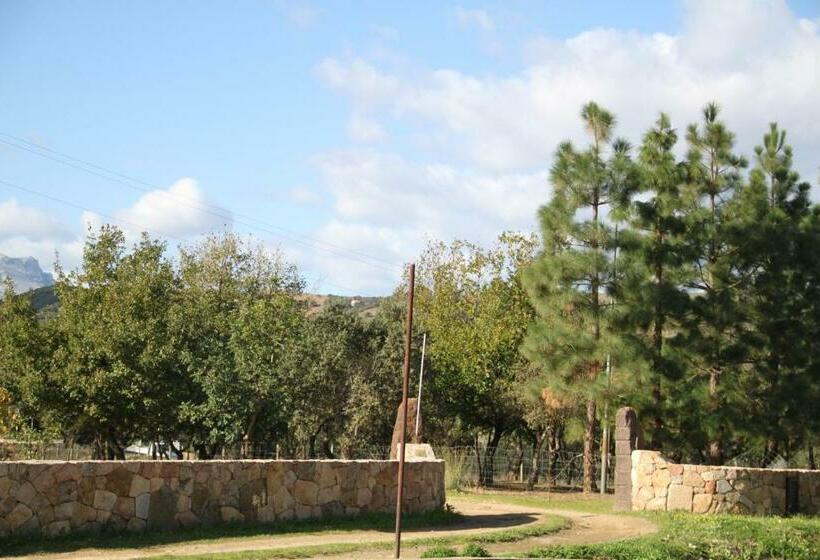 בית מלון כפרי Agriturismo Su Pinnatu