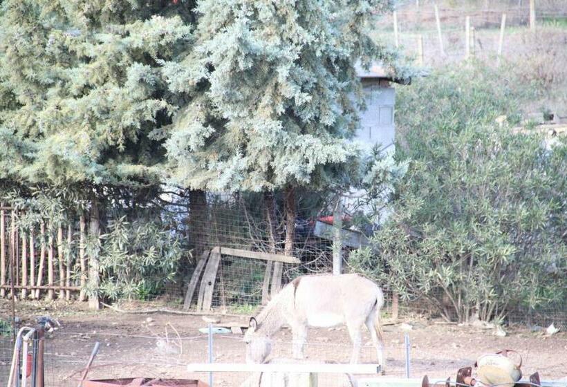 فندق Agriturismo Su Pinnatu