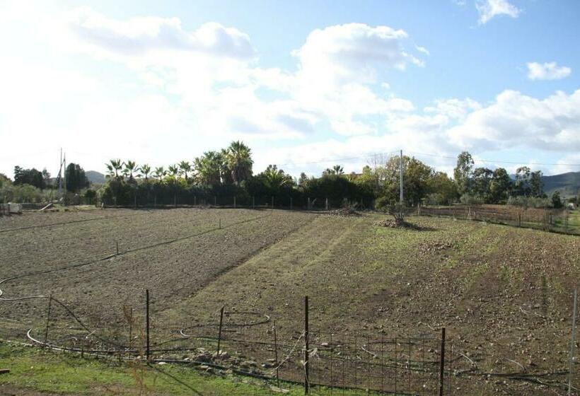 فندق Agriturismo Su Pinnatu