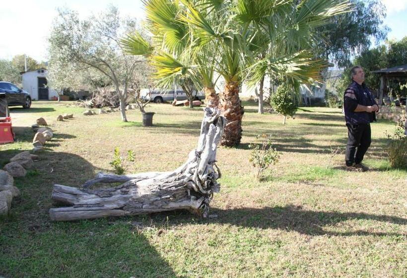 فندق Agriturismo Su Pinnatu