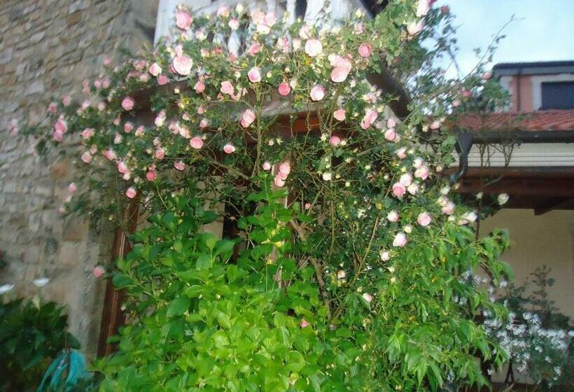 酒店 Arenas De Cabrales  Apartamentos