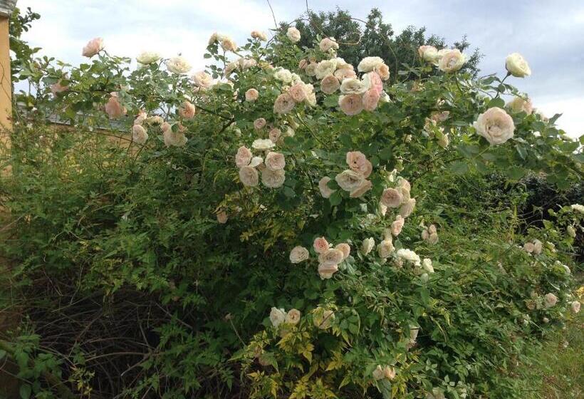 בית מלון כפרי Cavalli Di S Arcaite