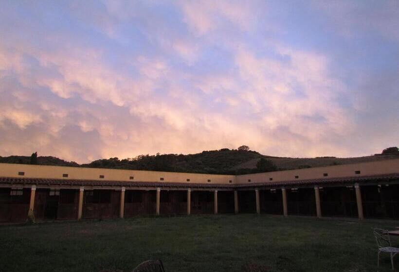 בית מלון כפרי Cavalli Di S Arcaite