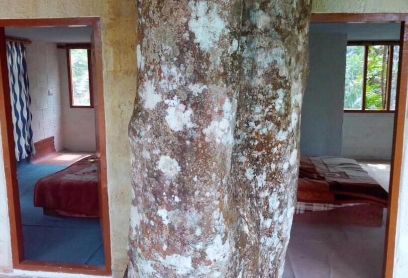 ホテル Jungle Jive Tree House