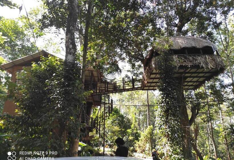 ホテル Jungle Jive Tree House