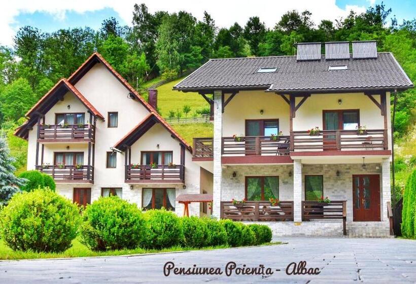 בית מלון כפרי Pensiunea Poienita
