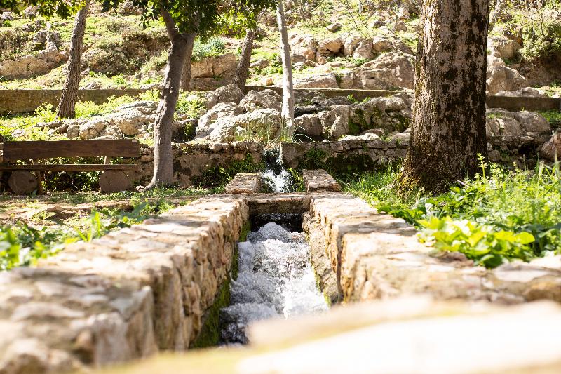 ホテル Rural El Castillejo