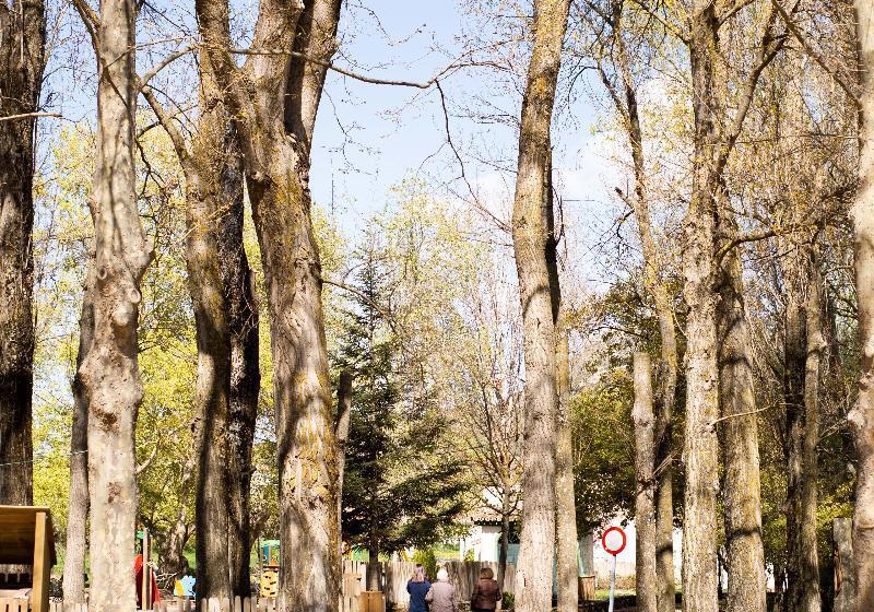 ホテル Rural El Castillejo