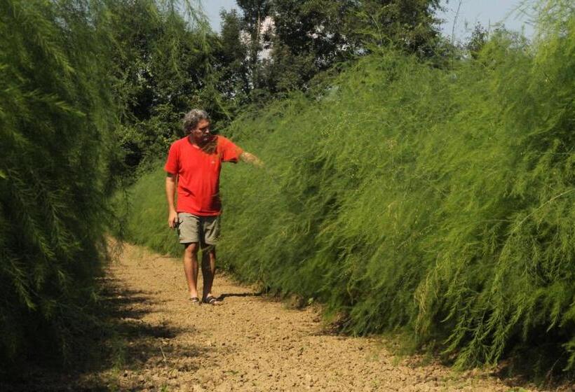 בית מלון כפרי Und Freizeitanlage Rauch Hof