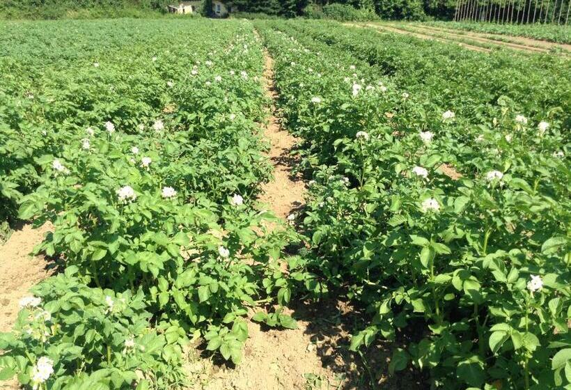 בית מלון כפרי Und Freizeitanlage Rauch Hof