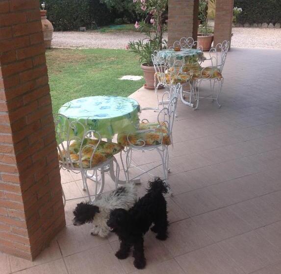 Отель Villa Trieste