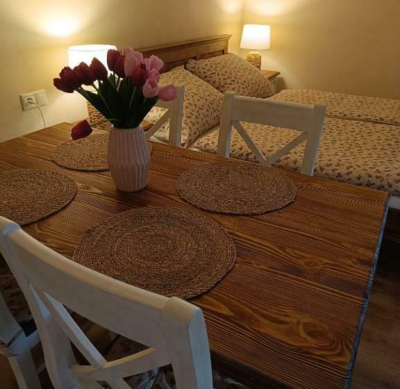 بنسيون Penzión Thamasy