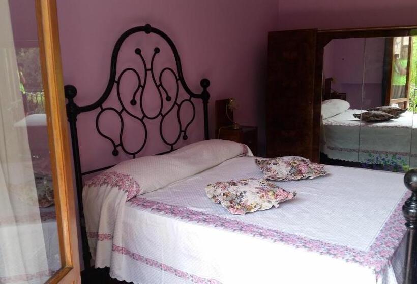 膳宿费 San Francesco