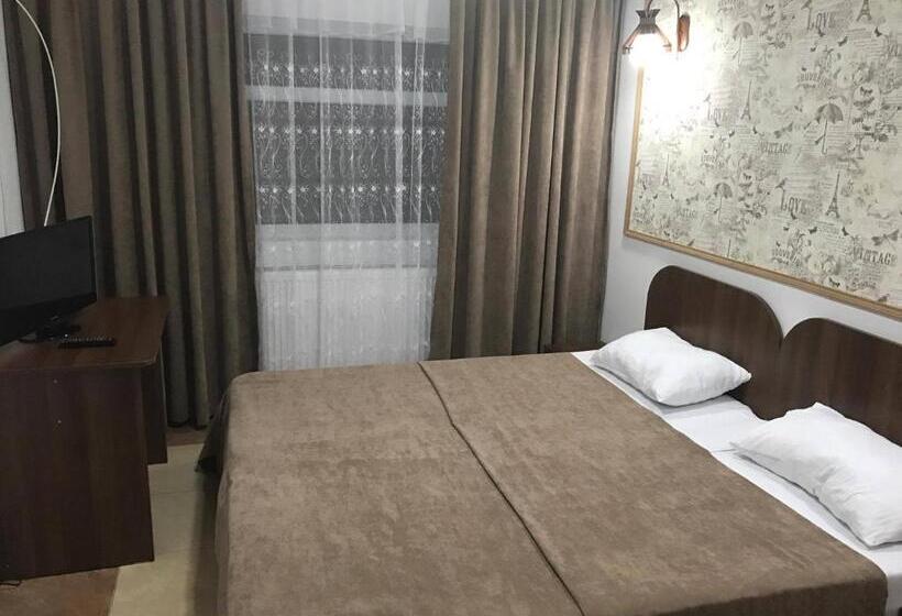 פנסיון Vila Denisa