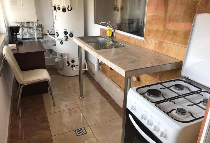 פנסיון Vila Denisa