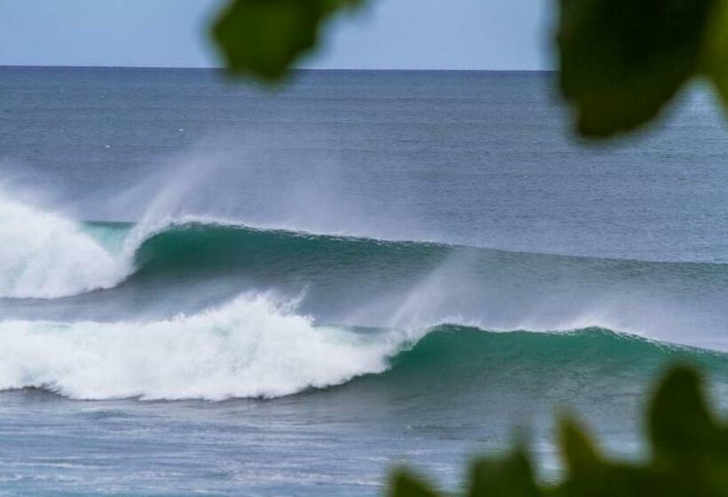 הוסטל Finca Popoyo