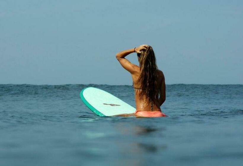 הוסטל Finca Popoyo