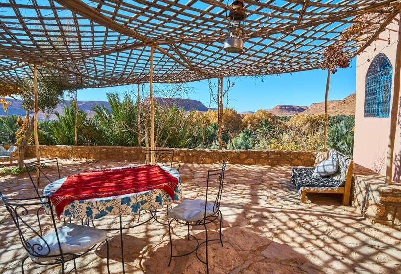 هاستل Maison D Hotes Sahara