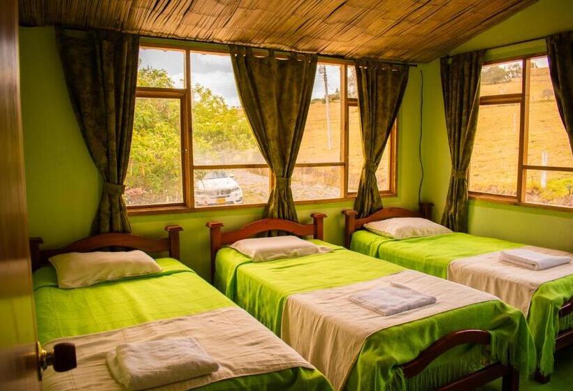 ユースホステル Miramonte Hostal