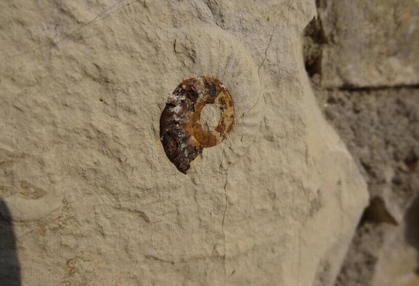 B&b Bergamo E Brescia