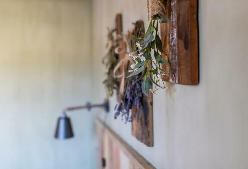 Relax B&b Lavendine Pure