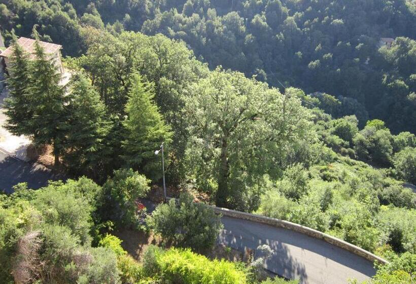 B&b Il Nido Dell Aquila