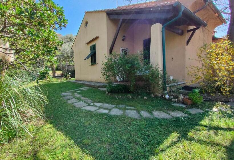 ベッドアンドブレックファースト L Uliveto D Argento