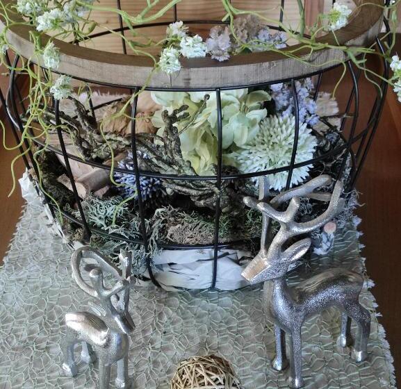 تختخواب و صبحانه Pension Weißer Hirsch