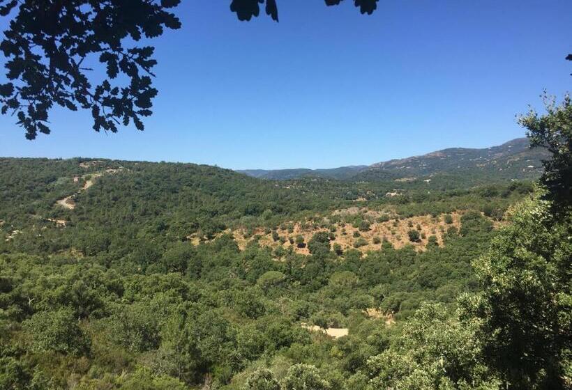 צימר Les Aurochs