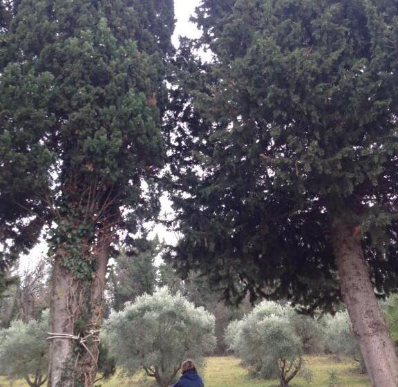 مبيت وإفطار Tierra Cristiana